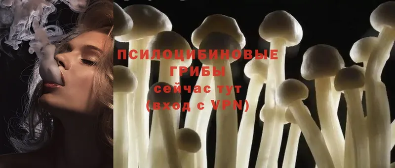 Галлюциногенные грибы MAGIC MUSHROOMS  Новое Девяткино 